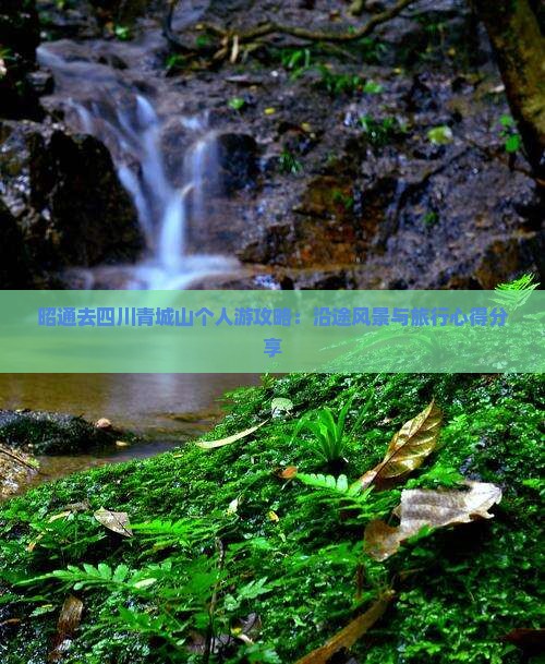昭通去四川青城山个人游攻略：沿途风景与旅行心得分享