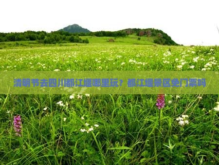 清明节去四川都江堰哪里玩？都江堰景区免门票吗