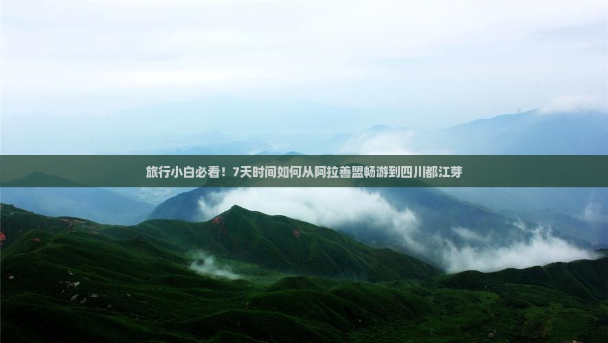 旅行小白必看！7天时间如何从阿拉善盟畅游到四川都江芽