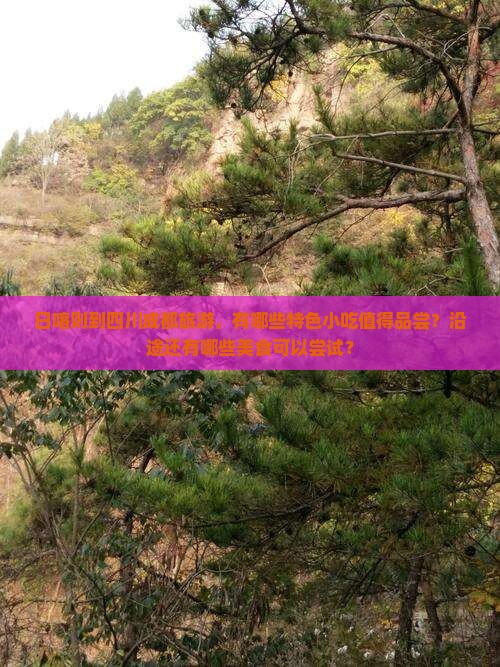 日喀则到四川成都旅游，有哪些特色小吃值得品尝？沿途还有哪些美食可以尝试？