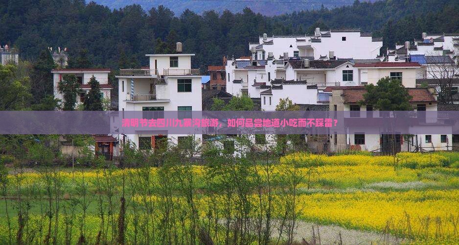 清明节去四川九寨沟旅游，如何品尝地道小吃而不踩雷？