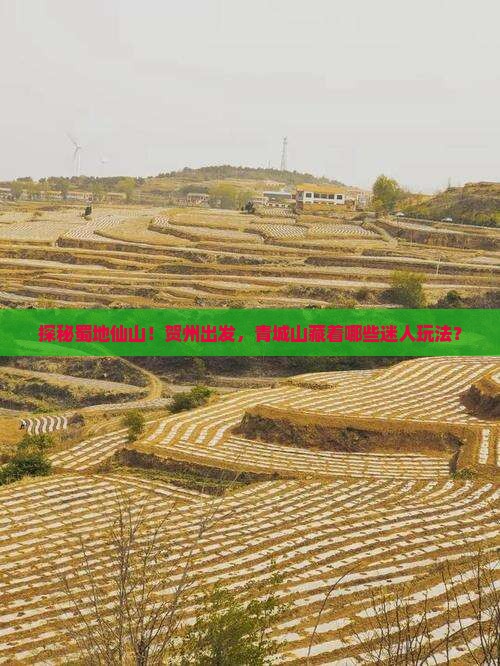 探秘蜀地仙山！贺州出发，青城山藏着哪些迷人玩法？