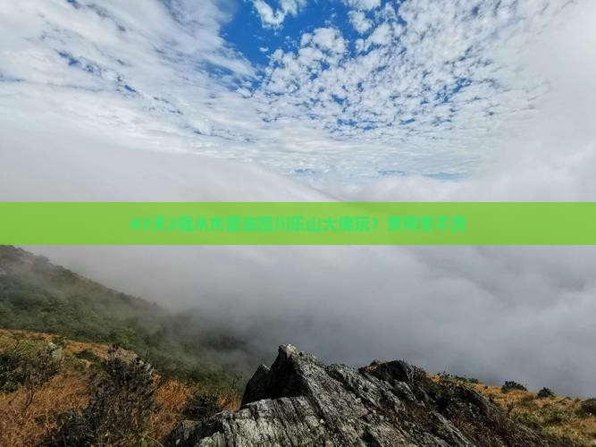 #3天2晚从东营去四川乐山大佛玩？费用贵不贵