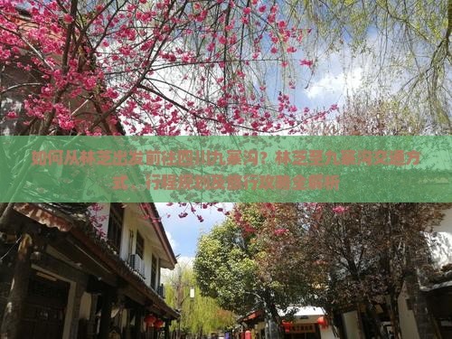 如何从林芝出发前往四川九寨沟？林芝至九寨沟交通方式、行程规划及旅行攻略全解析