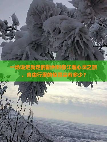 一场说走就走的衢州到都江堰心灵之旅，自由行里的惊喜会有多少？