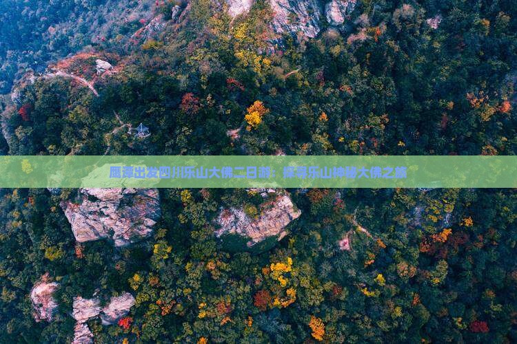 鹰潭出发四川乐山大佛二日游：探寻乐山神秘大佛之旅