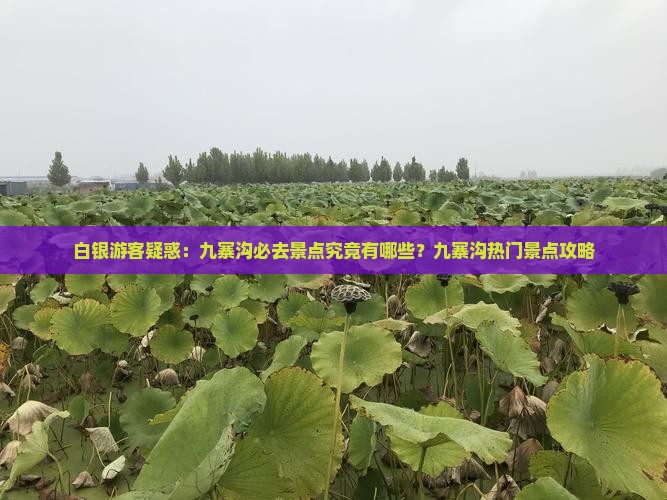 白银游客疑惑：九寨沟必去景点究竟有哪些？九寨沟热门景点攻略