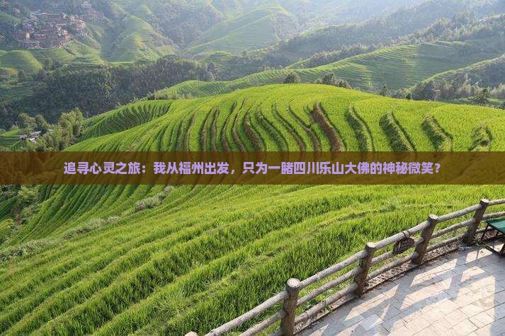 追寻心灵之旅：我从福州出发，只为一睹四川乐山大佛的神秘微笑？