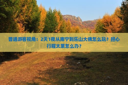 普通游客视角：2天1夜从南宁到乐山大佛怎么玩？担心行程太累怎么办？