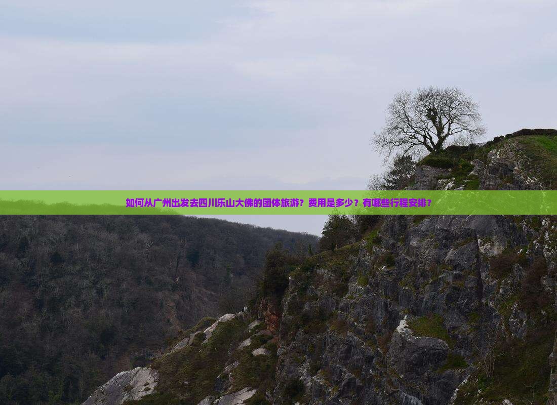 如何从广州出发去四川乐山大佛的团体旅游？费用是多少？有哪些行程安排？