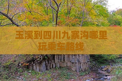 玉溪到四川九寨沟哪里玩乘车路线
