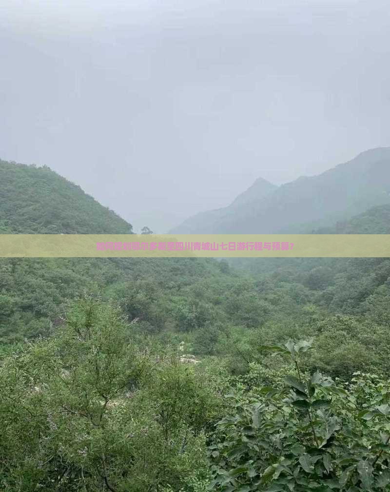 如何规划鄂尔多斯至四川青城山七日游行程与预算？