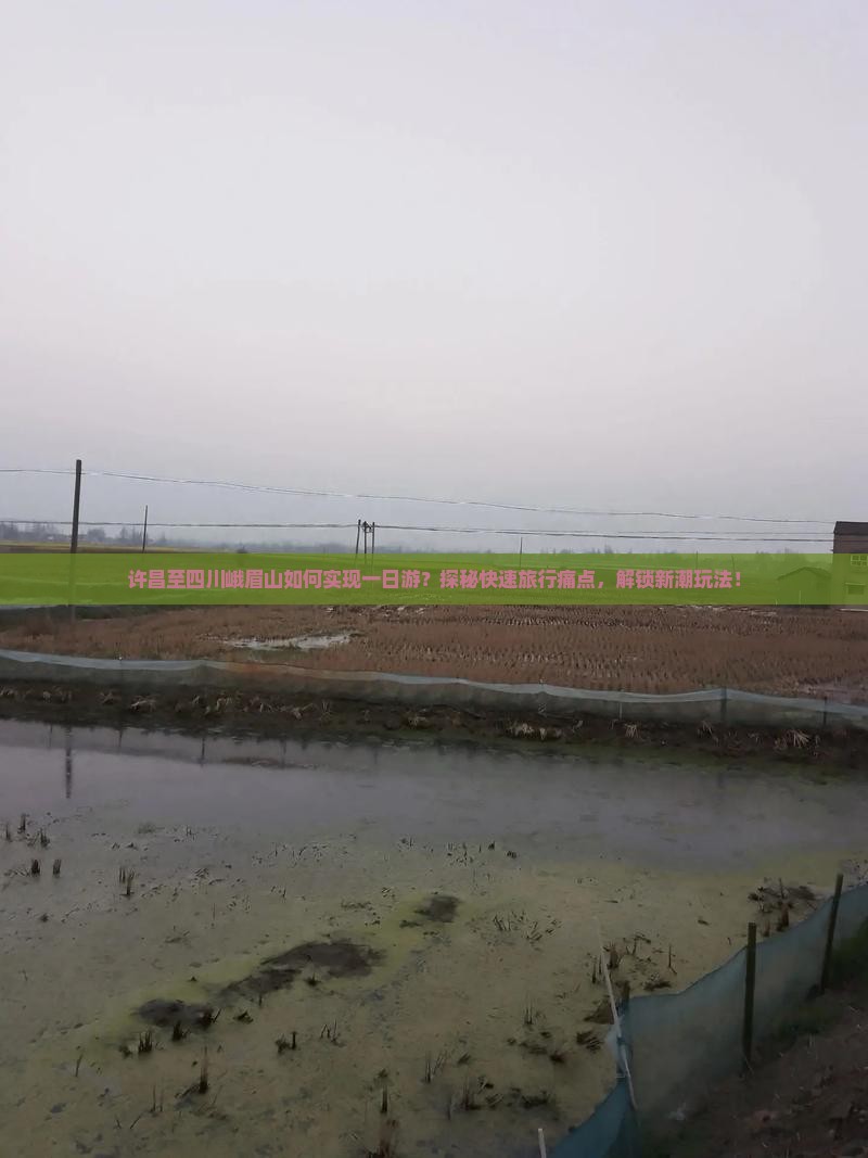 许昌至四川峨眉山如何实现一日游？探秘快速旅行痛点，解锁新潮玩法！