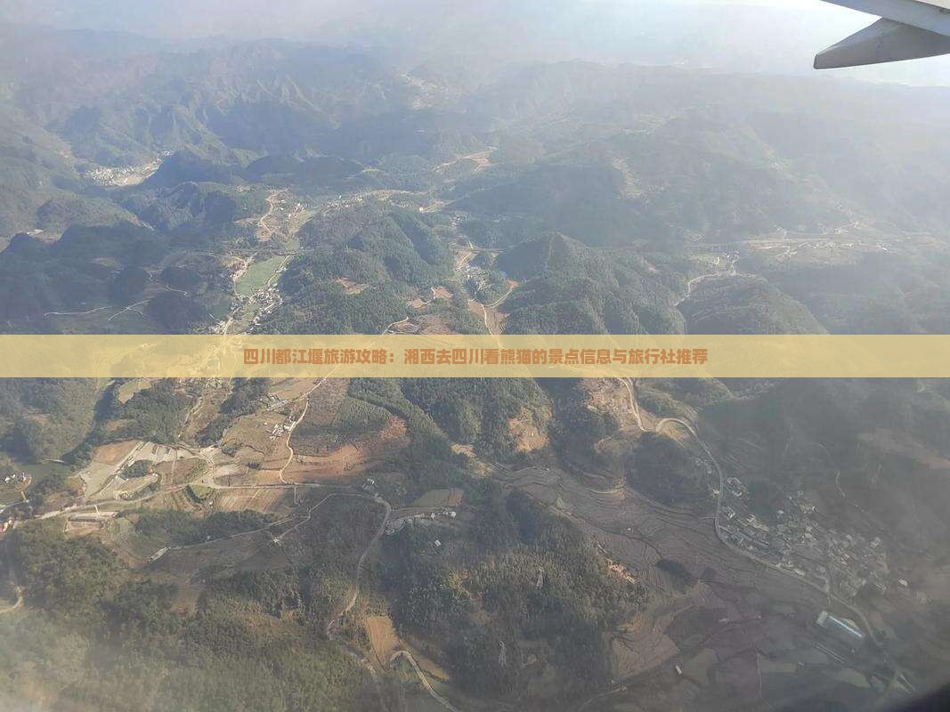 四川都江堰旅游攻略：湘西去四川看熊猫的景点信息与旅行社推荐