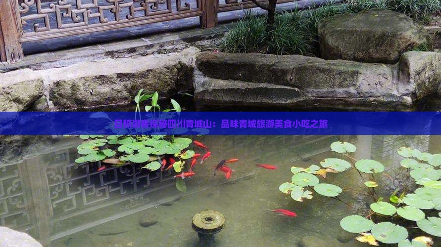 日照游客探秘四川青城山：品味青城旅游美食小吃之旅