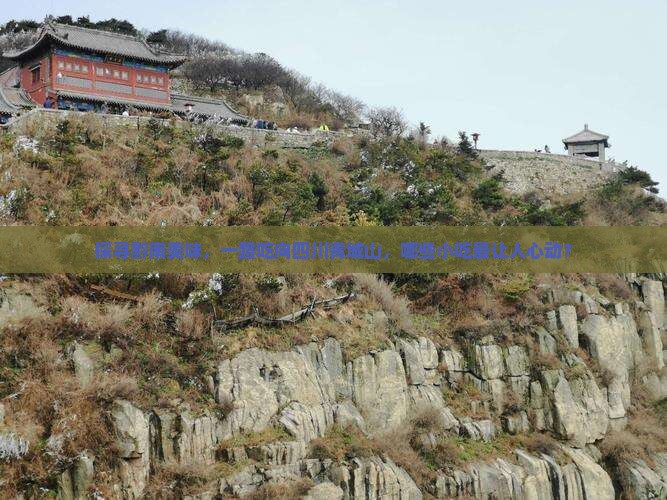 探寻黔南美味，一路吃向四川青城山，哪些小吃最让人心动？