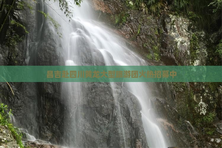 昌吉赴四川黄龙大型旅游团火热招募中