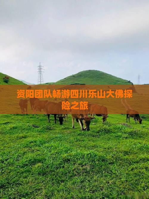 资阳团队畅游四川乐山大佛探险之旅