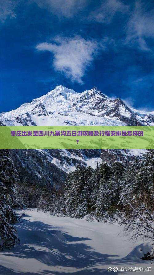 枣庄出发至四川九寨沟五日游攻略及行程安排是怎样的？