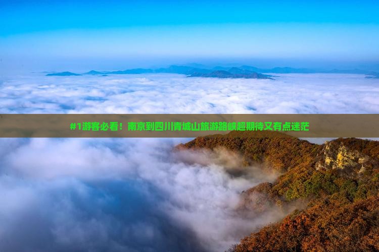 #1游客必看！南京到四川青城山旅游路峡超期待又有点迷茫