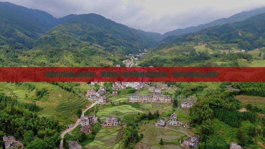 去四川青城山旅游时，衡阳的小吃有哪些值得尝试？如何去青城山旅游？