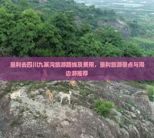 垦利去四川九寨沟旅游路线及费用，垦利旅游景点与周边游推荐