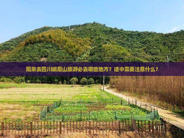 阳泉去四川峨眉山旅游必去哪些地方？途中需要注意什么？