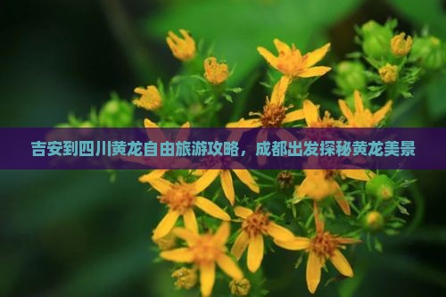 吉安到四川黄龙自由旅游攻略，成都出发探秘黄龙美景