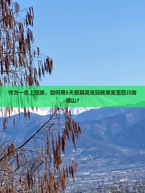 作为一名上班族，如何用5天假期高效玩转莱芜至四川青城山？
