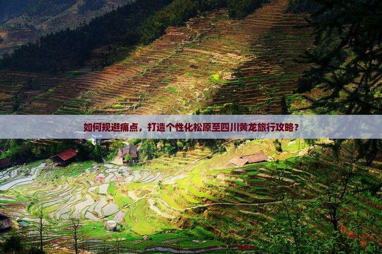 如何规避痛点，打造个性化松原至四川黄龙旅行攻略？