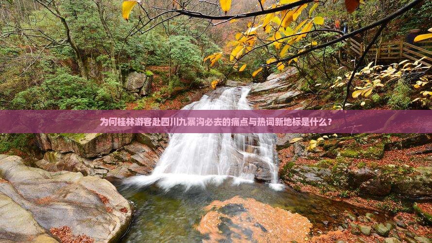 为何桂林游客赴四川九寨沟必去的痛点与热词新地标是什么？