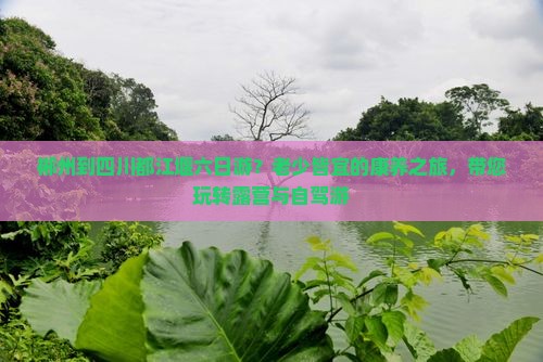 郴州到四川都江堰六日游？老少皆宜的康养之旅，带您玩转露营与自驾游
