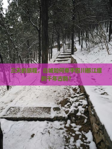 三天的旅程，白城如何牵手四川都江堰的千年古韵？