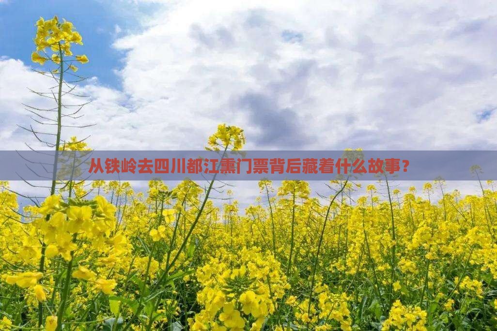 从铁岭去四川都江熏门票背后藏着什么故事？