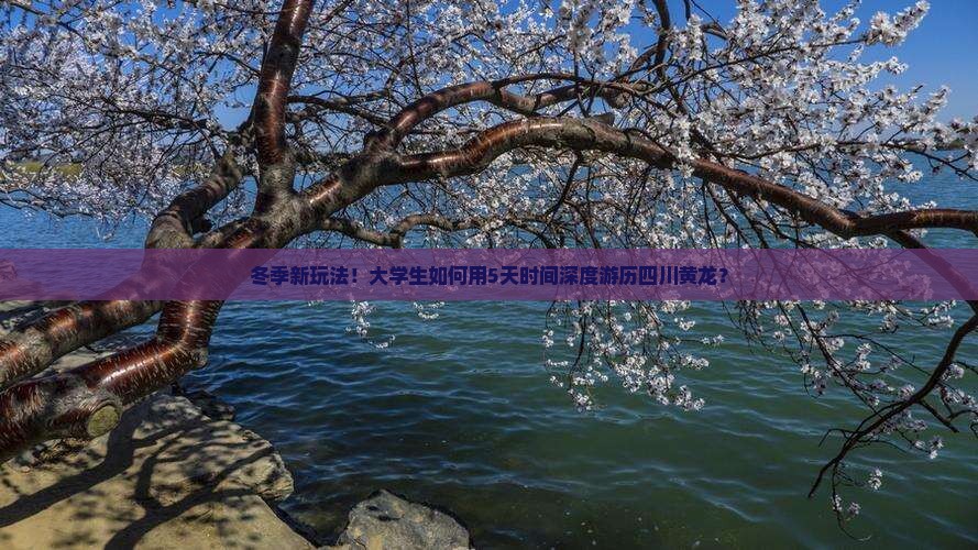 冬季新玩法！大学生如何用5天时间深度游历四川黄龙？