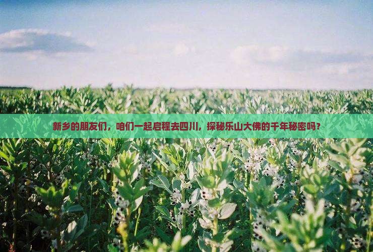 新乡的朋友们，咱们一起启程去四川，探秘乐山大佛的千年秘密吗？