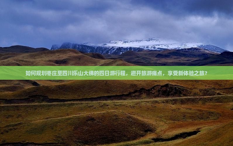 如何规划枣庄至四川乐山大佛的四日游行程，避开旅游痛点，享受新体验之旅？