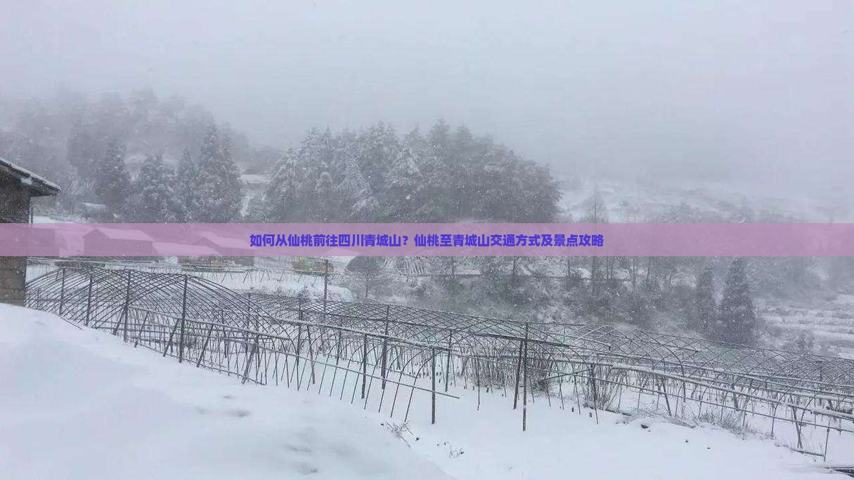 如何从仙桃前往四川青城山？仙桃至青城山交通方式及景点攻略