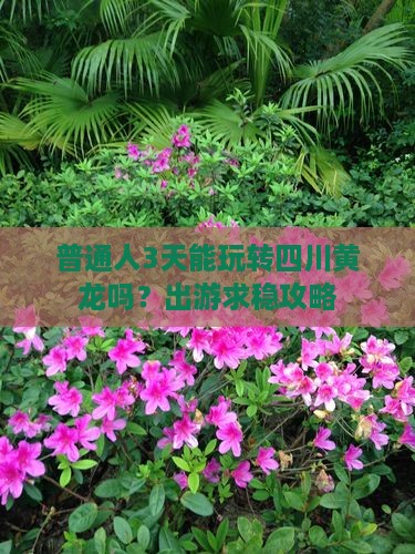 普通人3天能玩转四川黄龙吗？出游求稳攻略