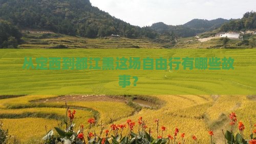 从定西到都江熏这场自由行有哪些故事？