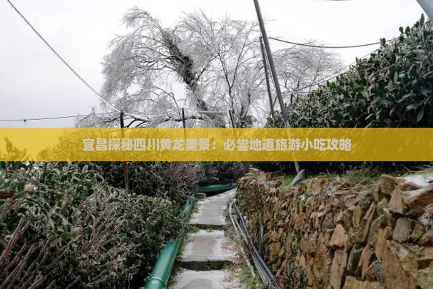 宜昌探秘四川黄龙美景：必尝地道旅游小吃攻略