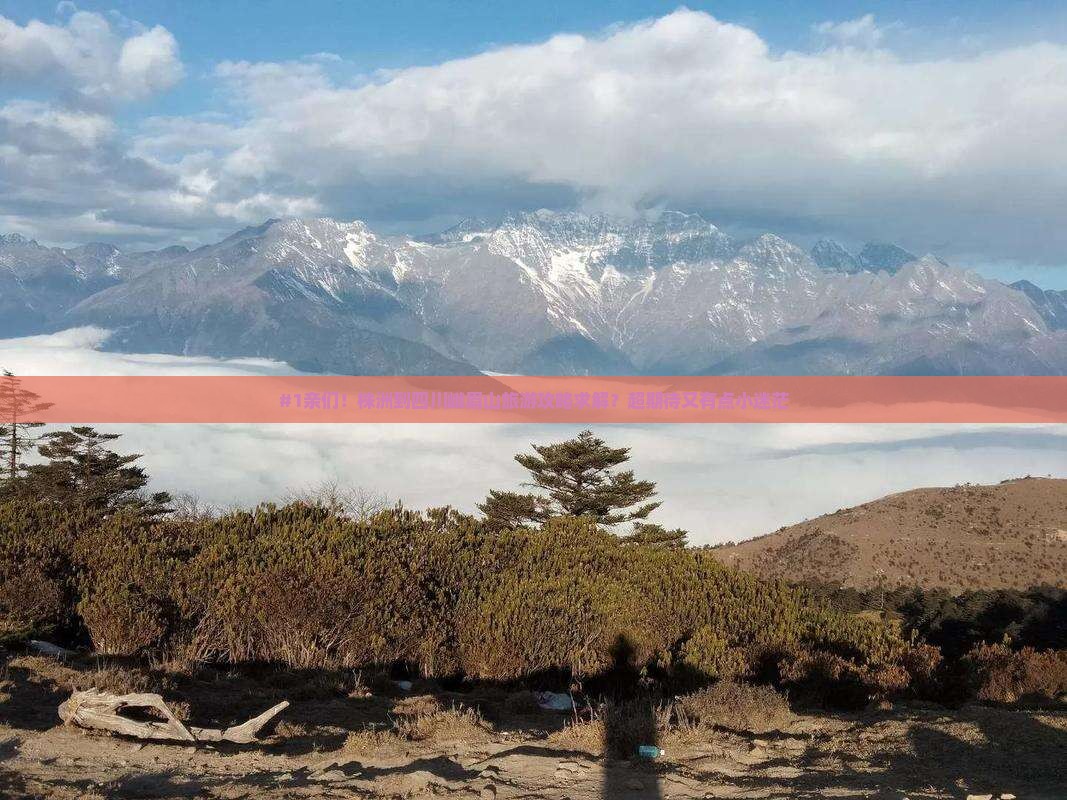 #1亲们！株洲到四川峨眉山旅游攻略求解？超期待又有点小迷茫