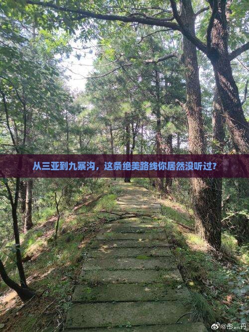 从三亚到九寨沟，这条绝美路线你居然没听过？