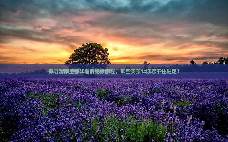探寻渭南至都江堰的绝妙旅程，哪些美景让你忍不住驻足？