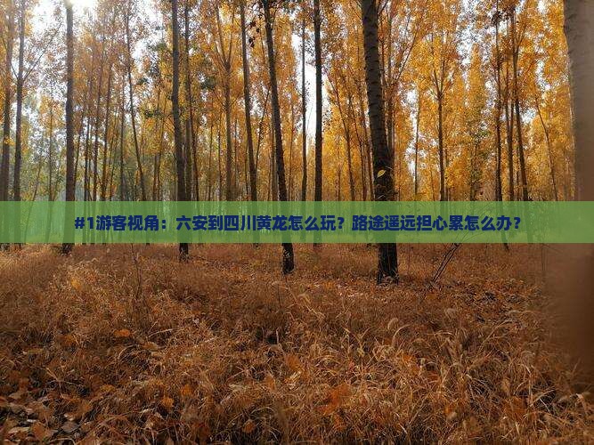 #1游客视角：六安到四川黄龙怎么玩？路途遥远担心累怎么办？