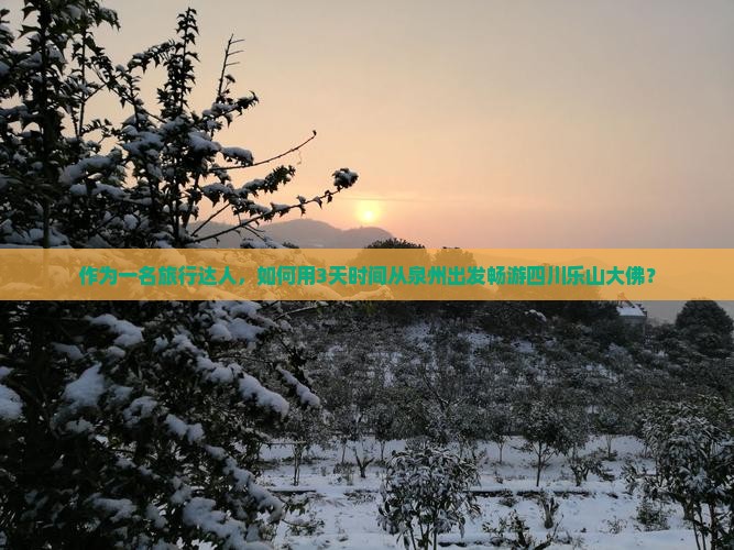 作为一名旅行达人，如何用3天时间从泉州出发畅游四川乐山大佛？