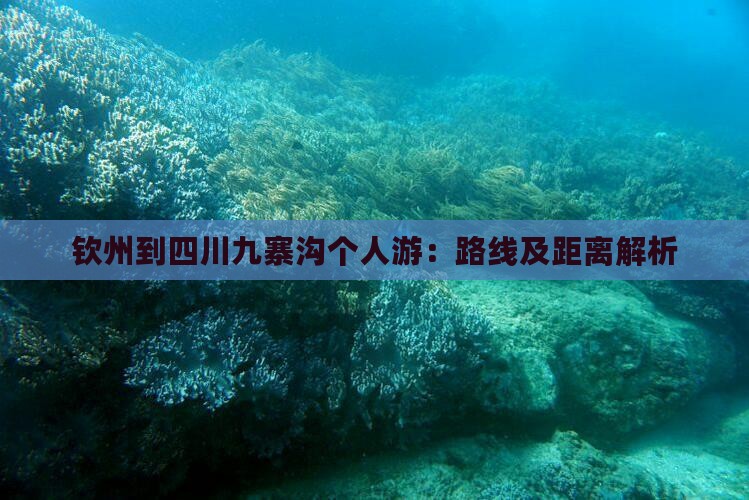 钦州到四川九寨沟个人游：路线及距离解析