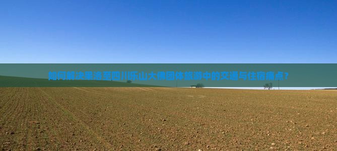如何解决果洛至四川乐山大佛团体旅游中的交通与住宿痛点？