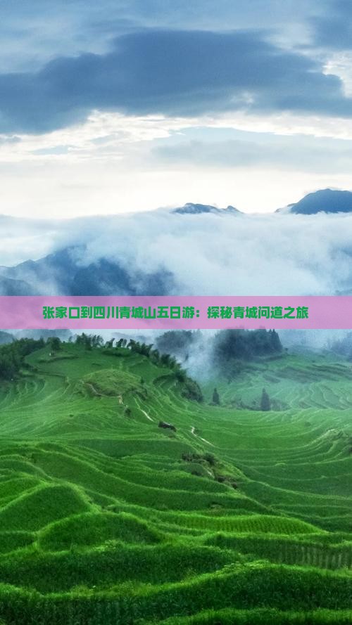 张家口到四川青城山五日游：探秘青城问道之旅