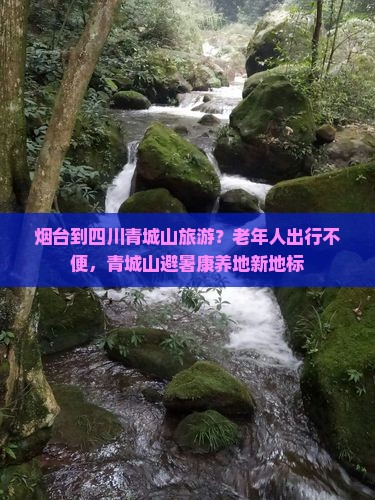 烟台到四川青城山旅游？老年人出行不便，青城山避暑康养地新地标
